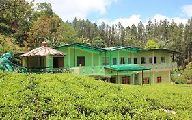 Narra Homestay